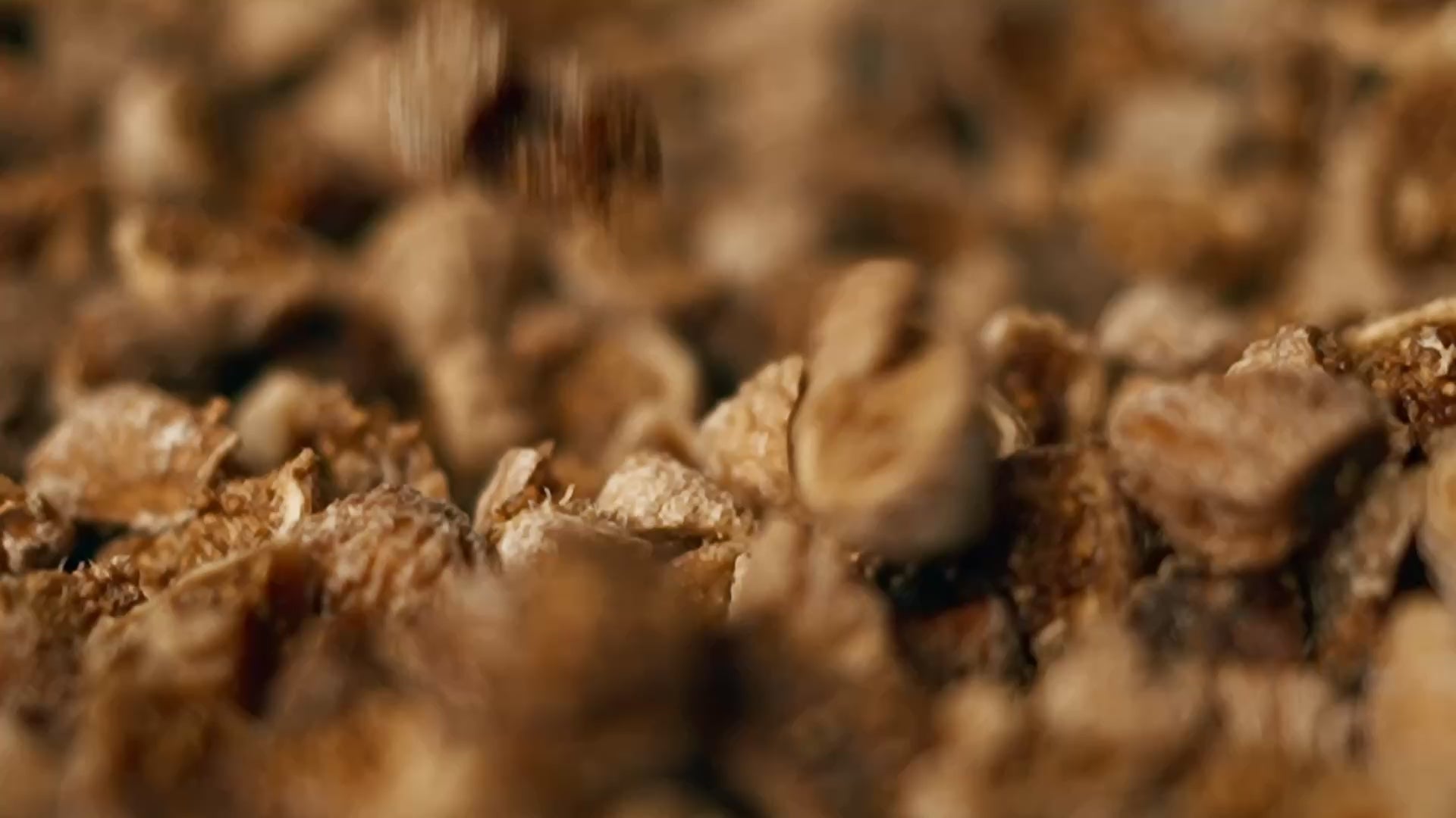 Geschnittene spanische Goldfeigen fallen in eine Schüssel.